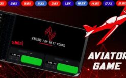 Laravel AViator Betting Game Source Code v4.0