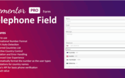 Telephone Field for Elementor form v1.3.0