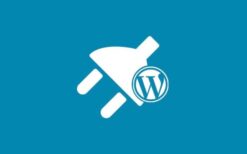 ThemeREX Activator v1.0