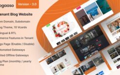 Blogaaso v3.0 – Blog Website SAAS (Multitenancy)