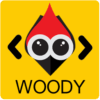 Woody Code Snippets Premium v2.5.1