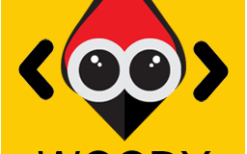 Woody Code Snippets Premium v2.5.1