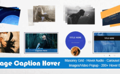 Image Caption Hover Pro WordPress Plugin v19.2