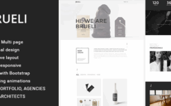 Brueli (v1.0) Minimal Portfolio / Agency / Architect WordPress Theme