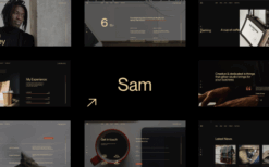 Sam Bailey (v1.1.0) Personal CV/Resume WordPress Theme