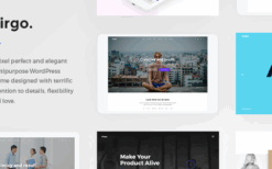 Virgo. (v1.1.1) Multipurpose Multi-Concept WordPress Theme