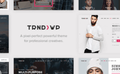 Trendy v1.3 Creative Multi-Purpose WordPress Theme
