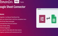Google Sheet Connector For Elementor Forms v1.0.0