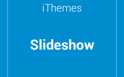 iThemes DisplayBuddy Slides v1.0.42