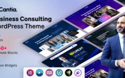 Cantia v1.0.0 Business Consulting WordPress Theme