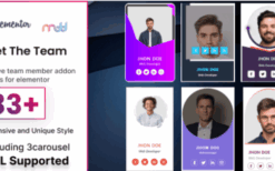 Meet the team elementor addon v2.8
