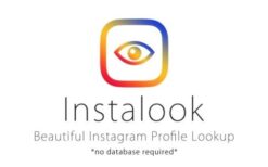 InstaLook v1.0 Instagram Profile Lookup Script
