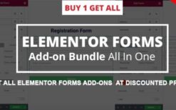 Elementor Forms Add-on Bundle – All In One v3.5.1