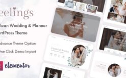 Feelings v1.0.5 Wedding & Planner WordPress Theme