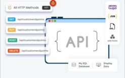 Connect to external APIs v51.0.0 | Create Custom API in WP