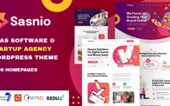 Sasnio (v1.0.0) SaaS & Software Startup Agency WordPress