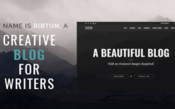 RibTun (v1.2) WordPress Blog Theme For Writers