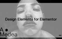 Amedea (v0.2.2) Unique Design Elements for Elementor
