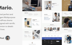 Mario. (v1.0.6) Creative Multipurpose WordPress Theme