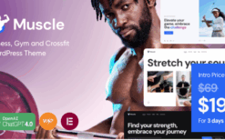 Muscle v1.0 Sports Center & Solarium WordPress Theme