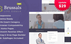 Brussals (v1.0) Personal Development Coach WordPress Theme