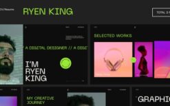 Ryen King (v1.0.0) Personal CV/Resume WordPress Theme
