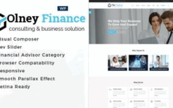 Olney Finance (v2.6) Business Consulting WordPress Theme