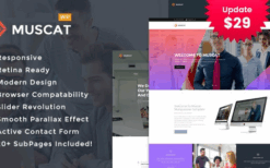 Muscat (v2.7) Multipurpose WordPress Theme
