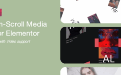 Smooth Scrolling for Elementor v1.0.0.1