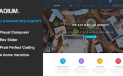 Radium (v2.5) SEO /Digital Agency WordPress Theme