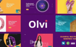 Olvi (v1.2.1) Creative MultiPurpose WordPress Theme