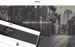 Calliope (v1.1.1) Portfolio & Agency WordPress Theme