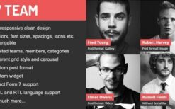 DV Team (v2.2) Responsive Team Showcase WordPress Plugin