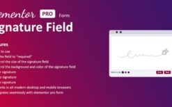 Signature Field for Elementor form v1.7.0
