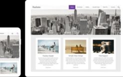 Radiate Pro v2.3.5 Favourite theme of Bloggers