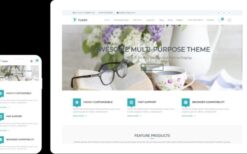 Flash Pro v2.4.16 MultiPurpose WordPress Theme