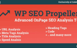 WP SEO Propeller (v1.3.1) Advanced SEO Analysis Tool