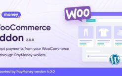 PayMoney – WooCommerce Addon 2.0