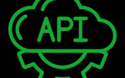 WPCargo API Addon v5.1.1