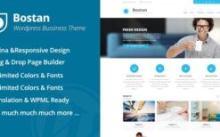 Bostan (v6.56) Business Theme