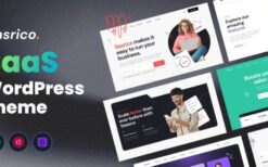 Dasrico v1.0 SaaS Website WordPress Theme