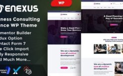 Enexus v1.0 Consulting Business Elementor WordPress Theme