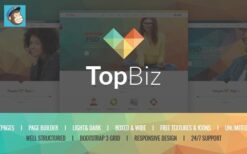 TopBiz v1.0.0 Responsive Corporate WordPress Theme