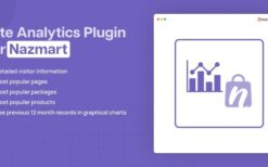 Site Analytics Plugin v1.0.1 Nazmart Multi-Tenancy eCommerce Platform (SAAS)
