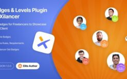 Freelancer Level Plugin for Xilancer (4 June 2024) Freelancer Marketplace Platform