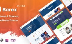 Borex v1.1.3 Business And Finance WordPress Theme