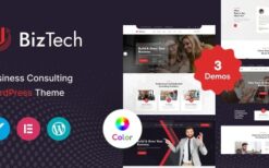 Biztech v1.0.1 Consulting Business WordPress Theme