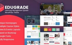 Edugrade v2.0 Education WordPress Theme