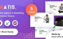 Bratis v3.0.1 Digital Marketing WordPress Theme + RTL