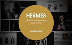 Hermes v2.1.6 Multi-Purpose Premium Responsive WordPress Theme